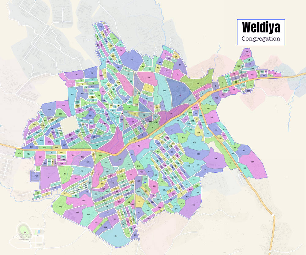 WELDIYA ETHIOPIA multicolored